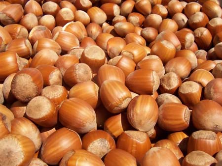 Kuruyemişin faydaları 8