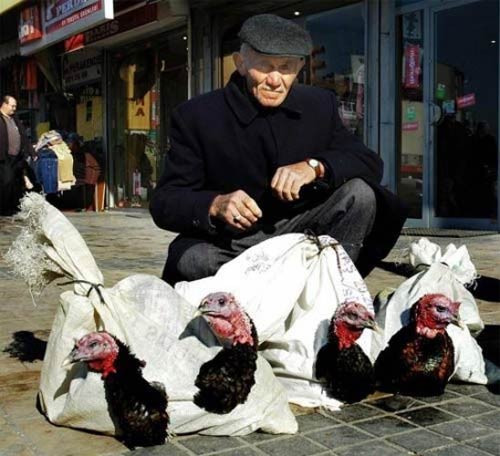 Türkiye'den gülme krizine sokan kareler 56