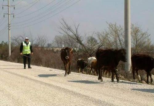 Türkiye'den gülme krizine sokan kareler 6