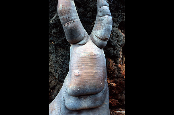 The Alien Beauty of Socotra 4
