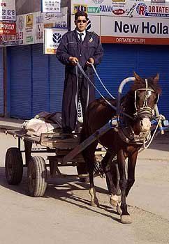 Yurdum İnsanı - 47 19