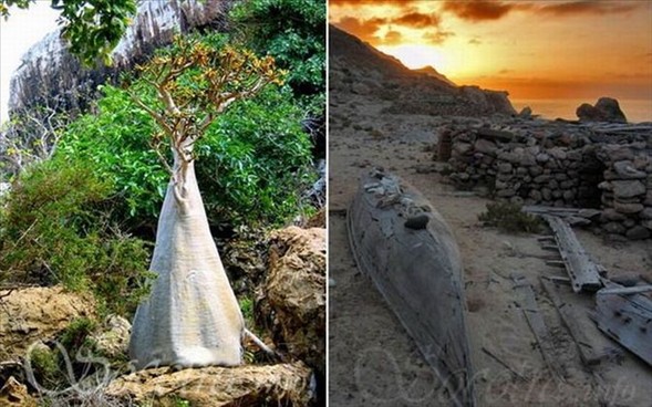 Yeryüzünün gizemli adası 15