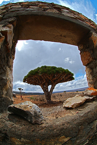Yeryüzünün gizemli adası 8