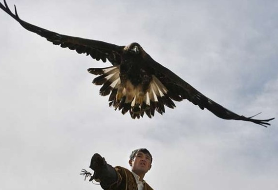 Kartal'ın vahşi avı böyle görüntülendi 18