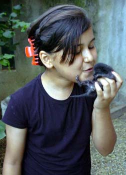 Köpek, kedi doğurdu 9