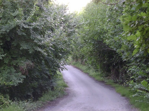 Durusu 10