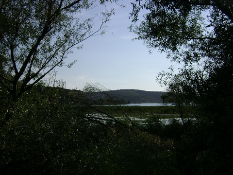 Durusu 9