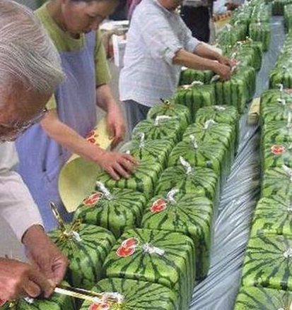 Bu Japonlar gerçekten çıldırmış 29