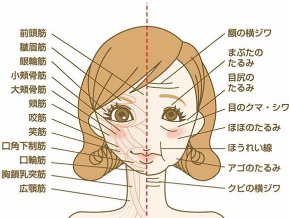 Bu Japonlar gerçekten çıldırmış 3