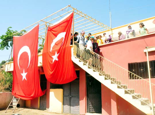 İnsan yüzlü örümcek 23
