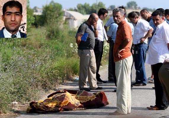İnsan yüzlü örümcek 30