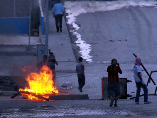 İnsan yüzlü örümcek 6