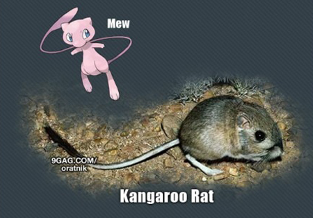 İşte gerçek pokemonlar! 10
