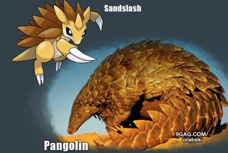 İşte gerçek pokemonlar! 6