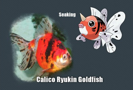 İşte gerçek pokemonlar! 9