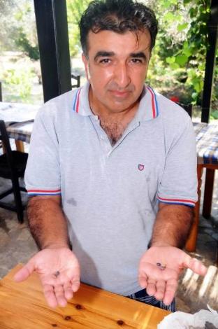 1600 yıllık kuru fasulye 15