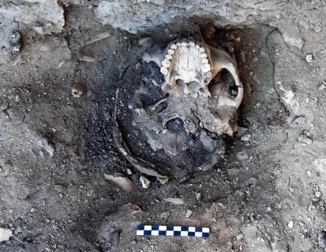 1600 yıllık kuru fasulye 5
