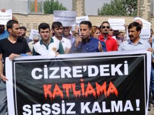 "Cizre'de Mezhepsel Düşünce Körüklenerek Oy Devşirecek Kadar Alçalanlar Oldu"