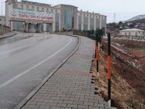 Tunceli'de Domuz Gribi Şüphesi