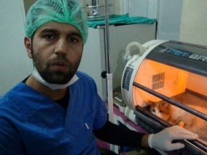 Bölgenin İlk Donanımlı Hayvan Hastanesi Tatvan'da Kuruldu