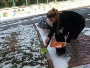 Iğdır'da Aç Kalan Kuşlar İçin Yem Bırakıldı