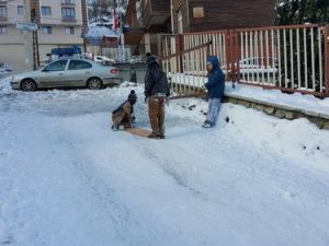 Artvin'de Çocuklar Buzu Eğlenceye Dönüştürdü