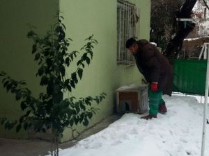 Gaziosmanpaşa'ya Kedi Evi