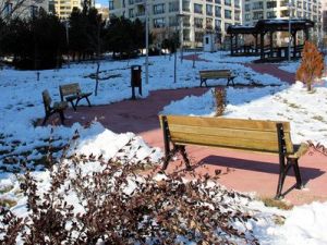 Çankaya'daki 80 Parkta Eskimiş Tüm Banklar Değiştiriliyor