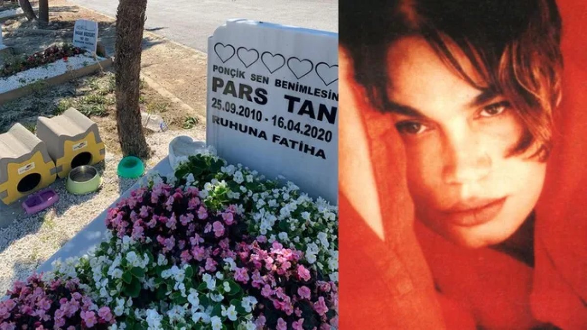 Sezen Aksu'dan Ebru Şallı ve görenleri ağlatan davranış