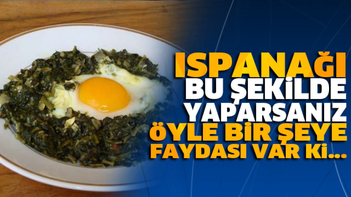 Ispanağın gücünden yararlanın bir tabak bile böyle yemek o sorunu çözüyor