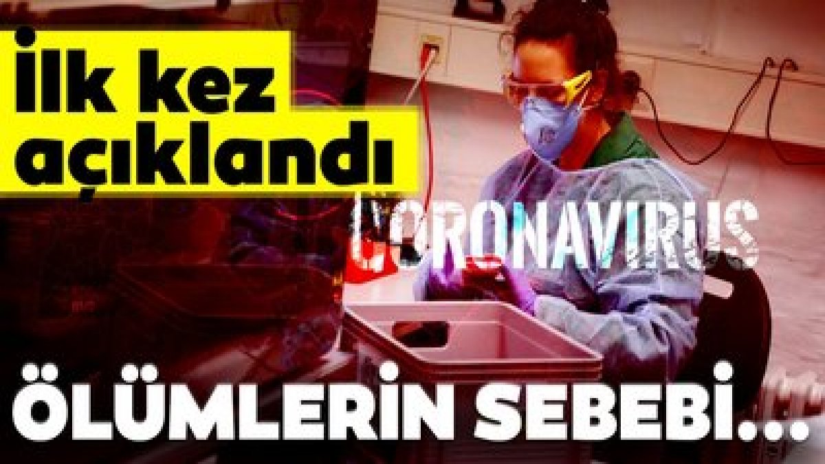 Bilim İnsanları korona virüsün bir sırrını daha çözdü ve ölüm riski az olanları böyle açıkladı