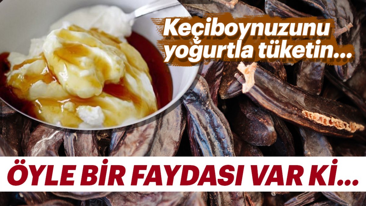 Yoğurtla Keçiboynuzu karıştırılıp yenilirse o sorunu şıp diye kesiyor