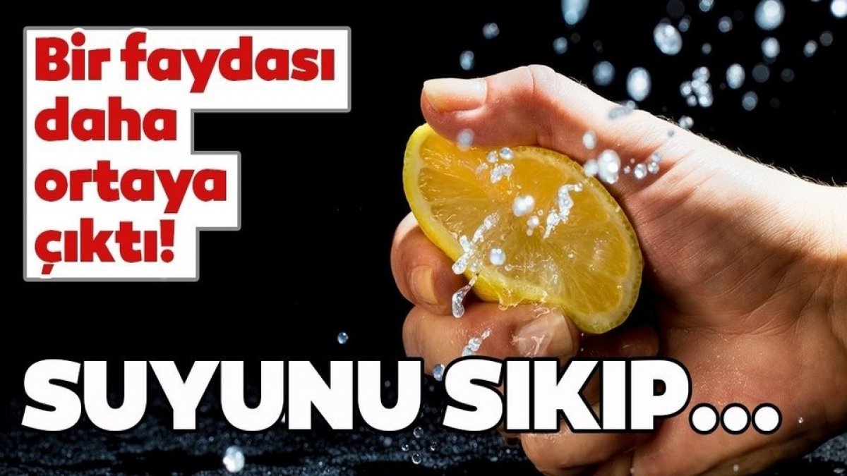 Bilim insanları limonun bir yararını daha tespit etti.