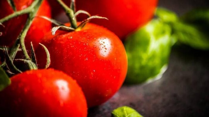 Fazla domates yemenin zararları