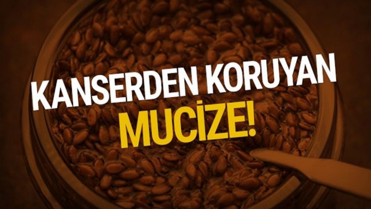 O besin kanserin çaresi çıktı - Bedeni hastalıklara karşı koruyor