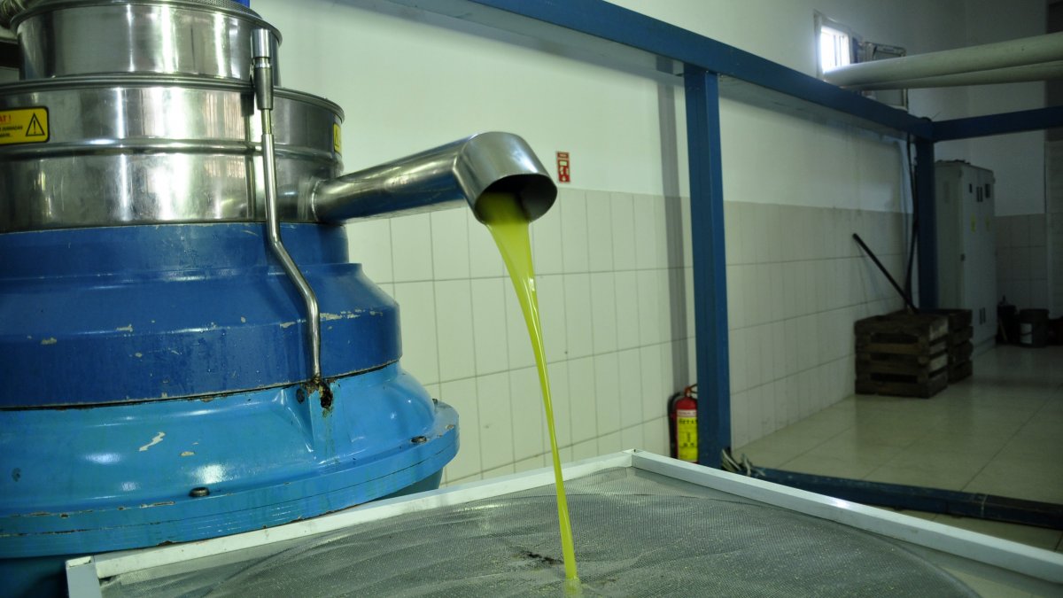 Zeytinyağı satın alırken dikkat edin! 16 lira gibi 17 Lira gibi satılan Yağları almayın çünkü...