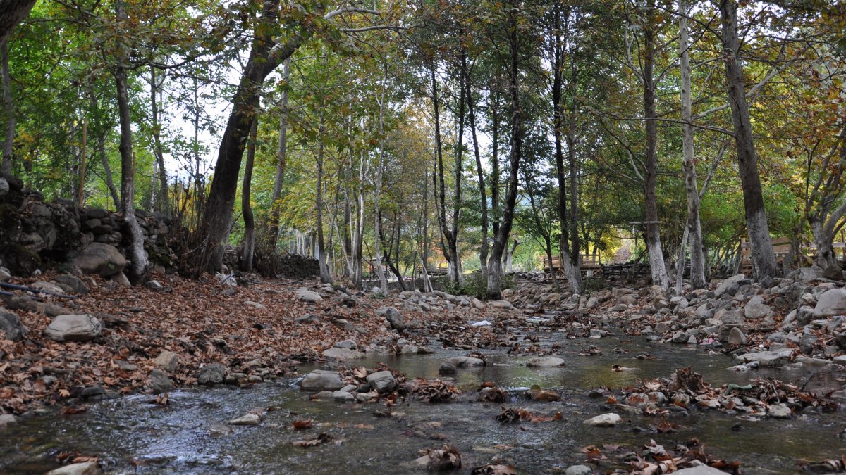 Doğaseverler için sonbaharda en doğru adres : İdilli Vadisi