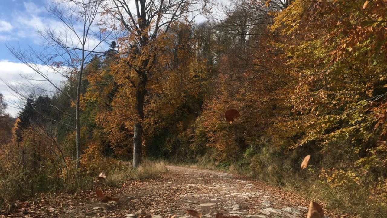 Her mevsim gezilebilen doğa harikası Kartepe