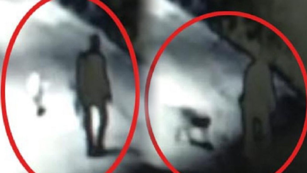 Sahipsiz hayvanı öldüren doktora verilen ceza isyan ettirdi!