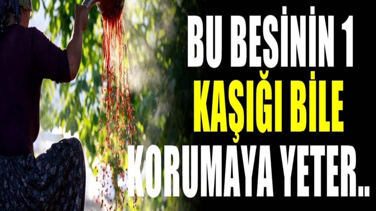 Bu besinin 1 kaşığı bile insanı canlı kanlı yapıyor. Korumaya yetiyor..