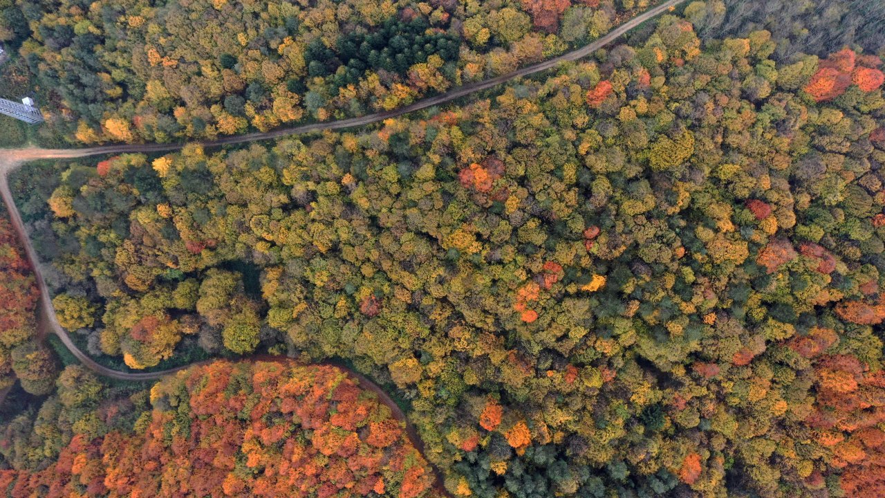 Bolu Dağı sonbaharda da çok güzel