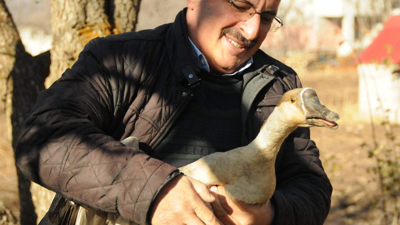 5 tane kaz besledi hayatı değişti, şimdi çiftlik sahibi
