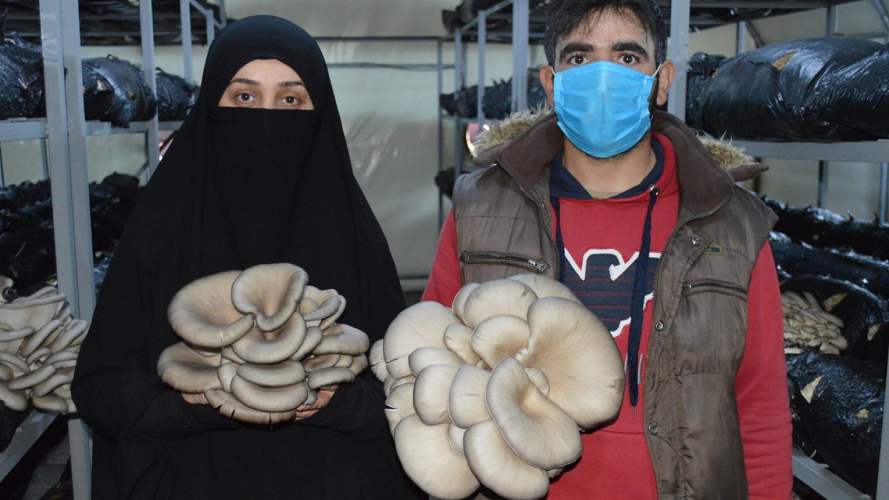 O fotoğrafı gördükten sonra hayatı değişti, kendi işinin patronu oldu