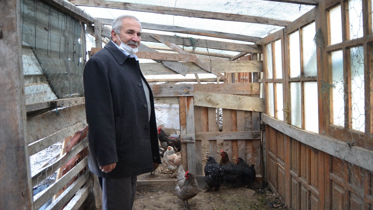 Kümes sahibi ettiği laflarla tilkiyi bile dize getirdi