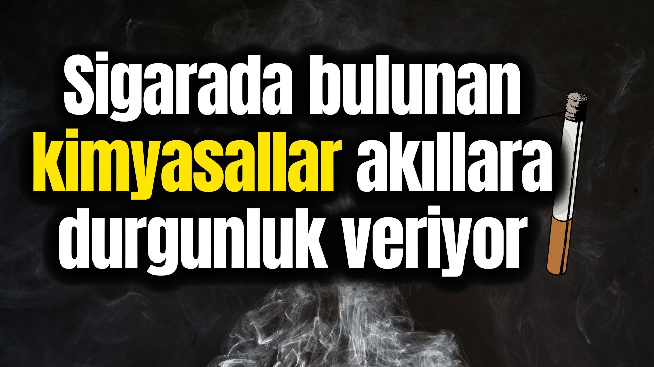 Sigaranın içindeki maddeleri görünce şoka gireceksiniz!