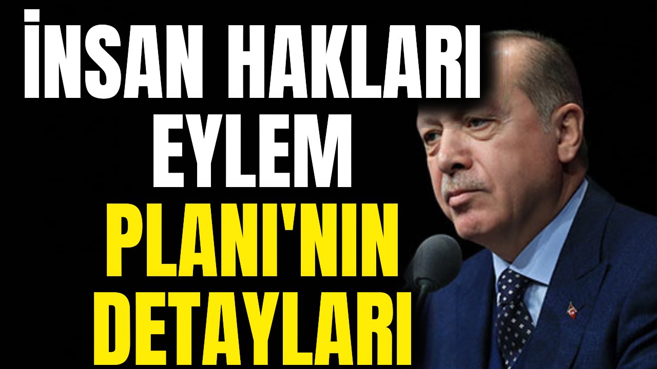 Cumhurbaşkanı Erdoğan, İnsan Hakları Eylem Planı'nı açıkladı, işte detaylar...