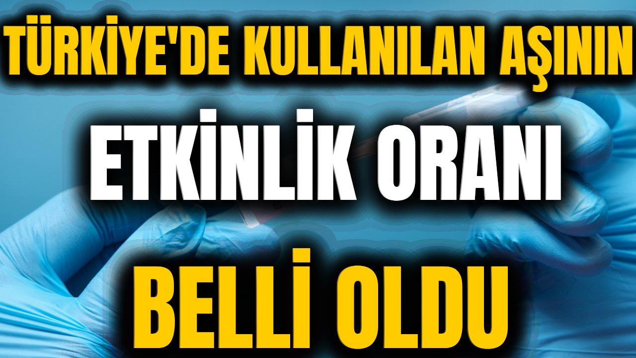Türkiye'de uygulanan Sinovac aşısının Faz-3 sonuçları belli oldu