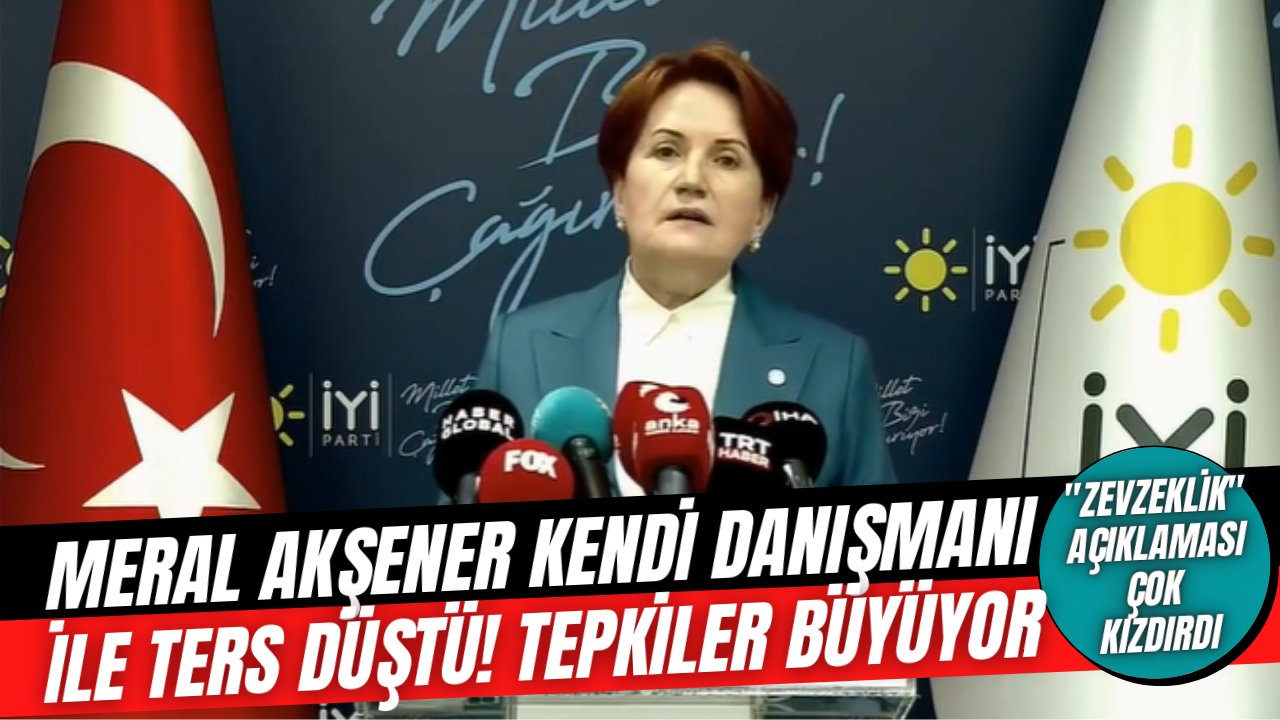 Meral Akşener hem başdanışmanı Aytun Çıray ile ters düştü, hem de "zevzeklik" sözleri büyük tepki çekti!