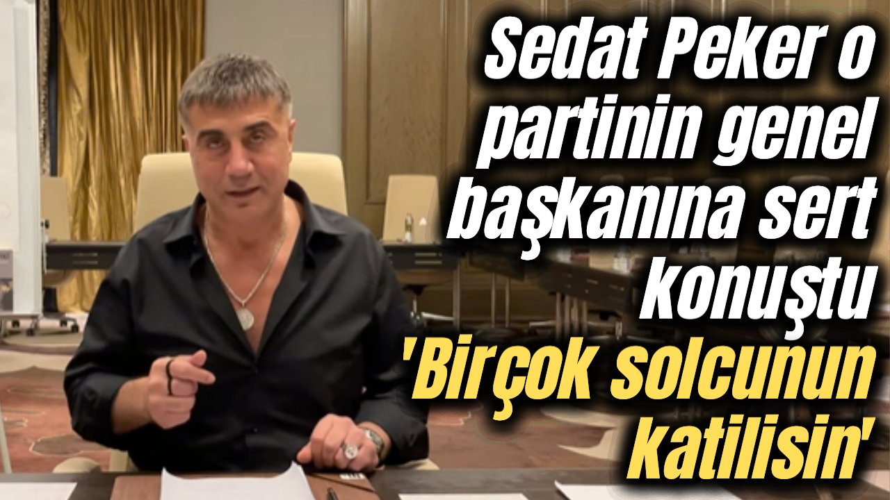 Sedat Peker bu kez o partinin genel başkanını hedef aldı! &quot;Sen türünün