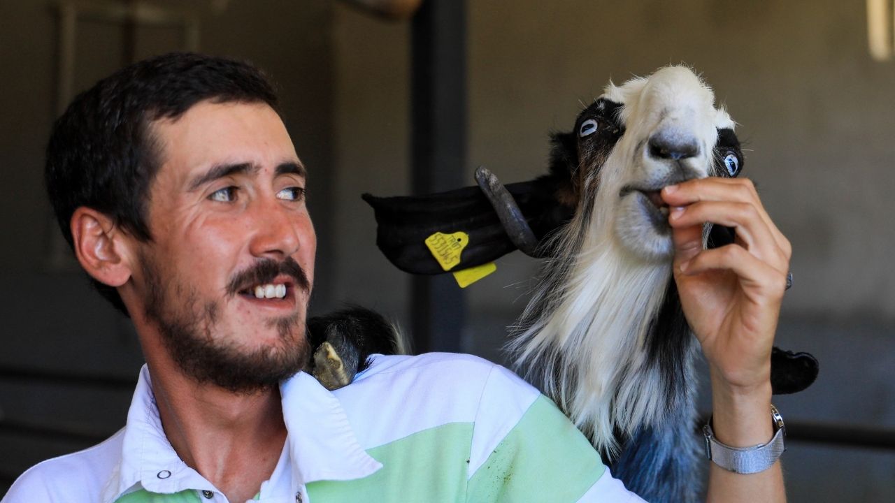 Salgında herkes keçileri kaçırırken o keçilerle bir çiftlik kurdu işini büyüttü artık siparişlere yetişemiyor